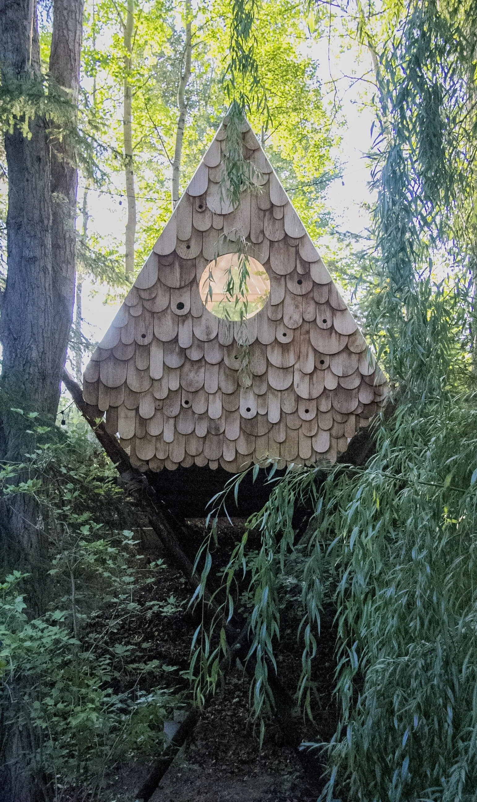 Bird Hut | Explore Unique Bird-House Designs — Studio North